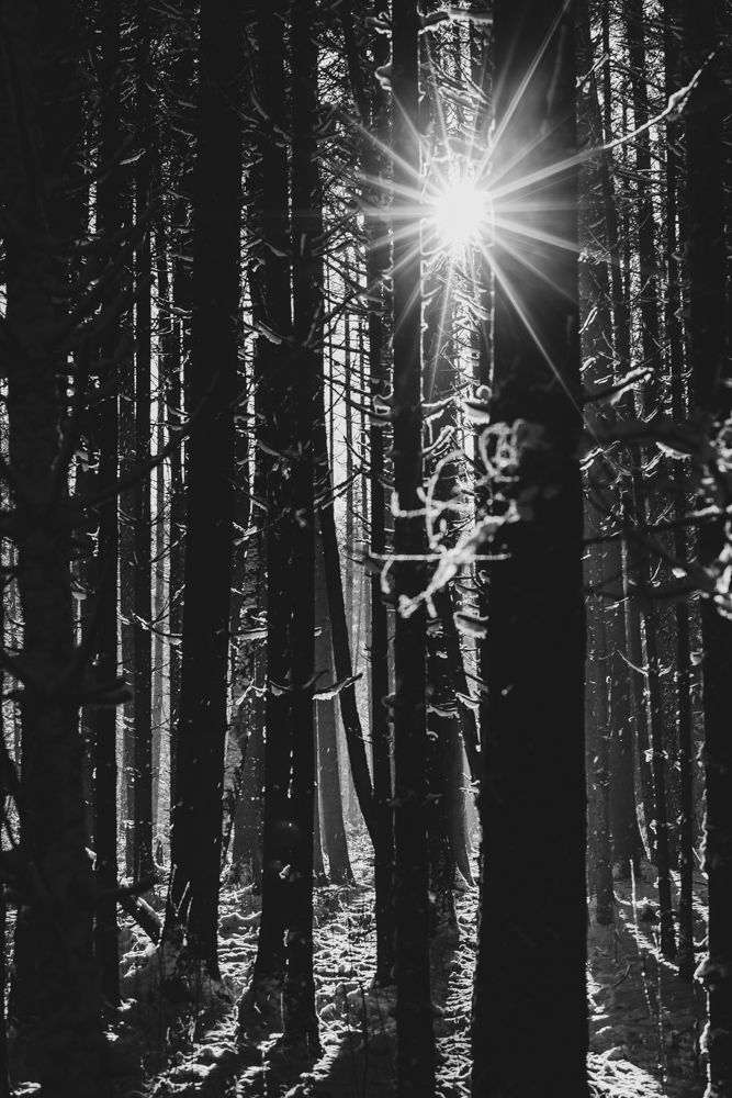 Fotografie. Schwarzweissfotografie. Schwarzweiss. © Priska Leutenegger 